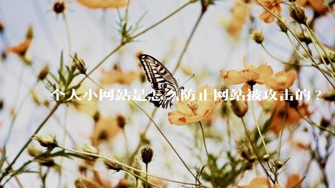 个人小网站是怎么防止网站被攻击的?