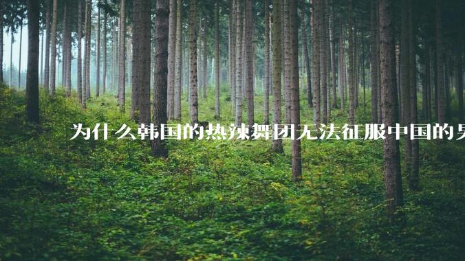 为什么韩国的热辣舞团无法征服中国的男性市场？？