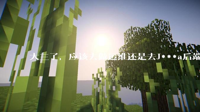 大三了，应该去做运维还是去J***a后端呢？