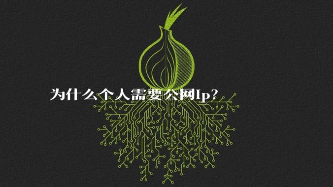 为什么个人需要公网ip？